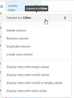 Menü der Spalte „County“, geöffnet mit hervorgehobener Option „Column is a Cities“ (Spalte ist Städte)