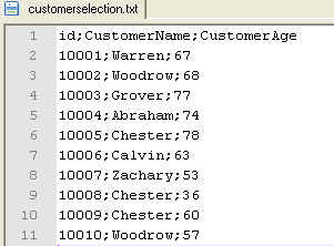 Screenshot of the content of the customerselection.txt file.