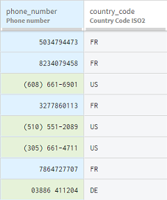 Dataset containing customer information with formatted phone numbers.
