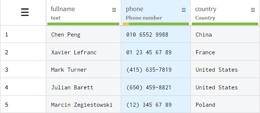 Dataset containing phone numbers.