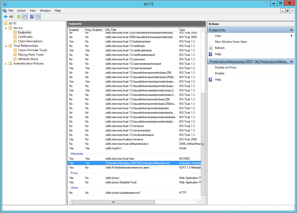 Metadata section in the Endpoints view.