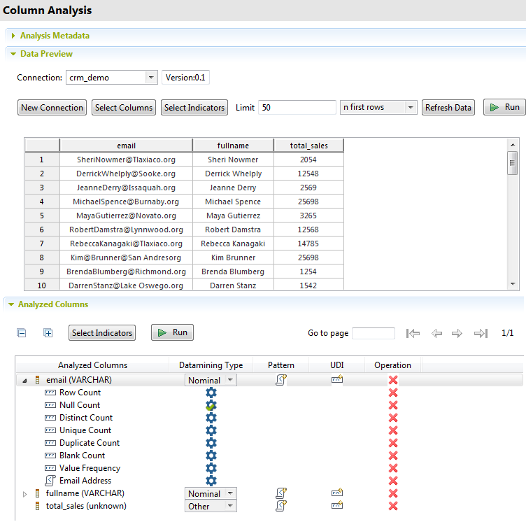 Overview of the Data Preview and Analyzed Columns sections.