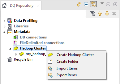 Contextual menu of the Hadoop Cluster node.