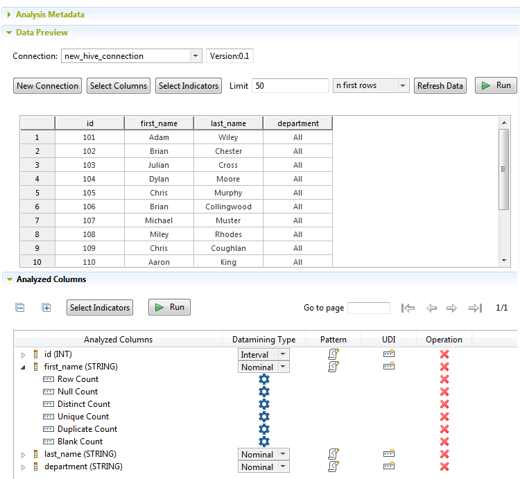 Overview of the Data Preview and the Analyzed Columns sections.