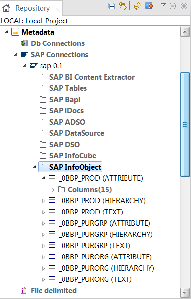 SAP InfoObject metadata view.