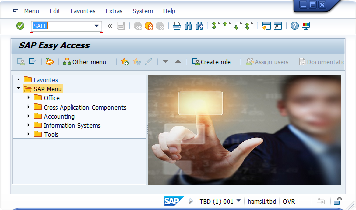 Page d'accueil de l'interface graphique SAP, avec SALE dans le champ Code.