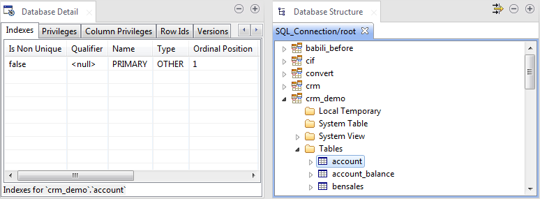 Vues Database Detail (Détails de la base de données) et Database Structure (Structure de la base de données) avec des informations concernant l'index personnalisé.